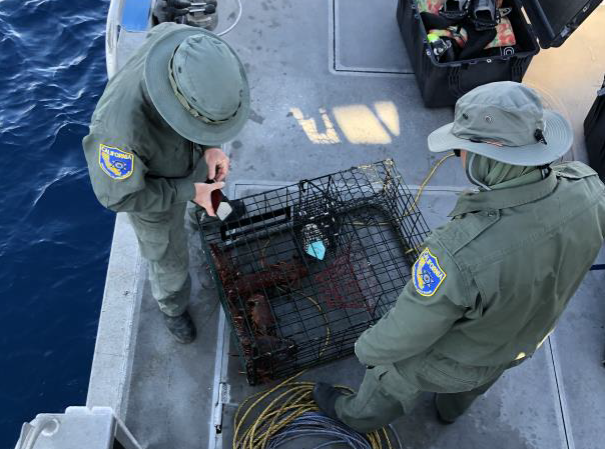 Two CDFW wildlife officers inspect lobster traps aboard a commercial fishing vessel.