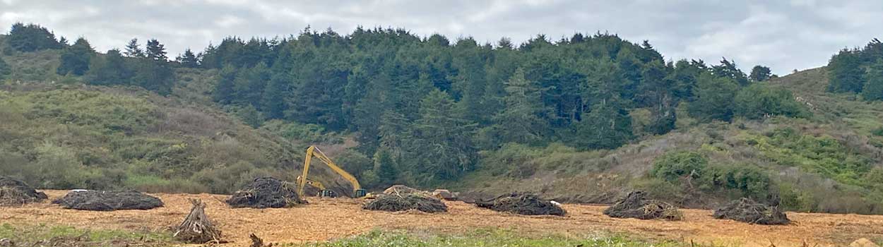 Excavation equipment on Butano Creek