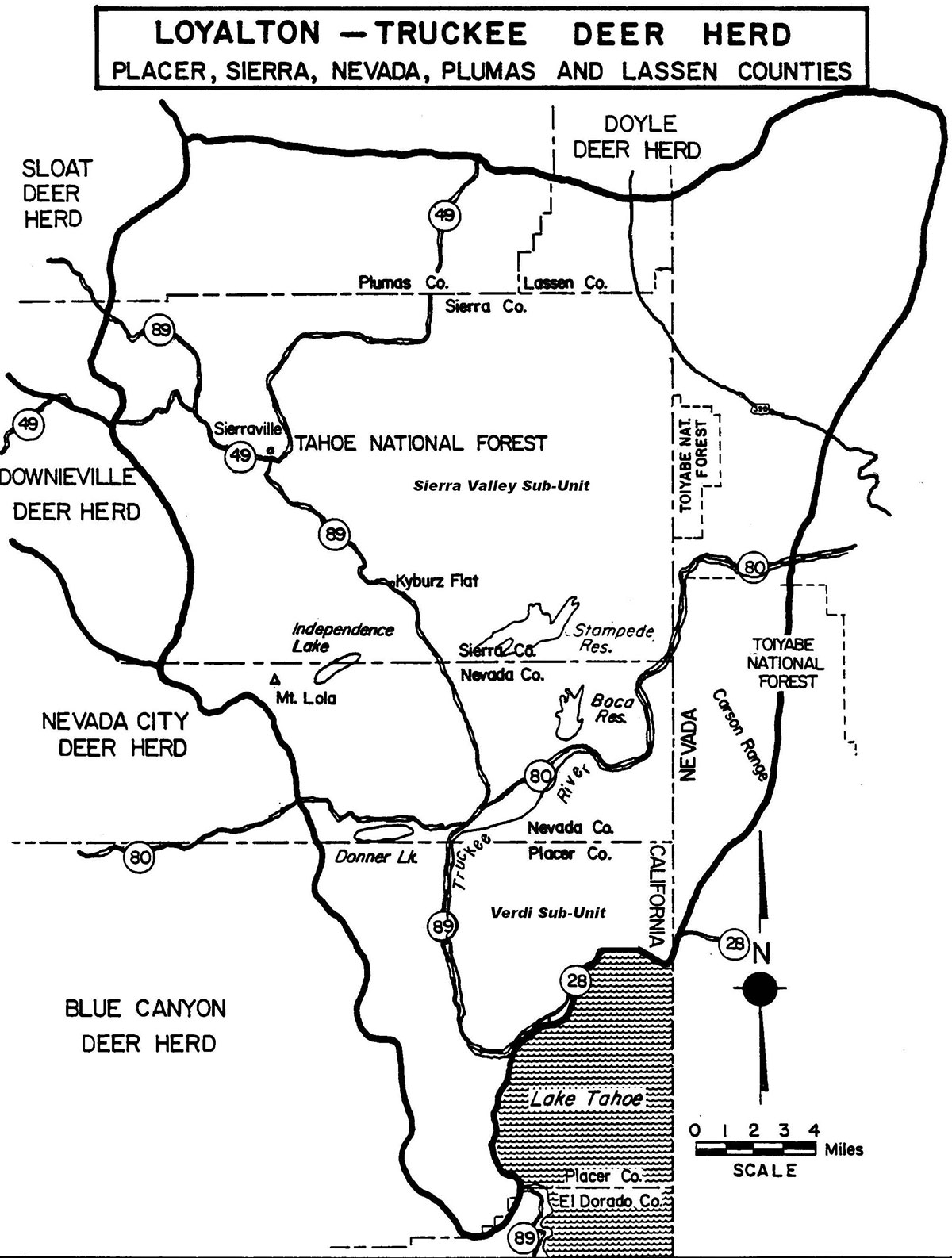 LoyaltonTruckee Deer Herd Study