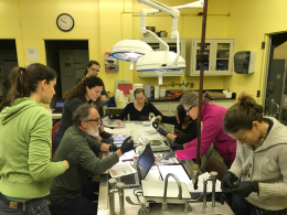 A group of scientists in a lab screening for white-nose syndrome in bats