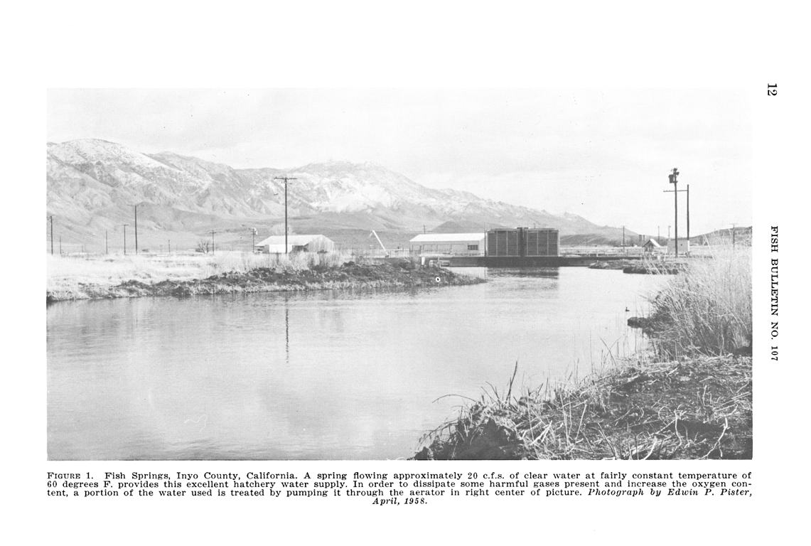 The History of Fish Springs Hatchery