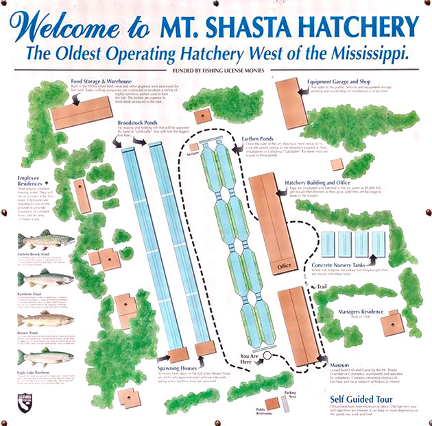 Welcome to Mt. Shasta Hatchery sign