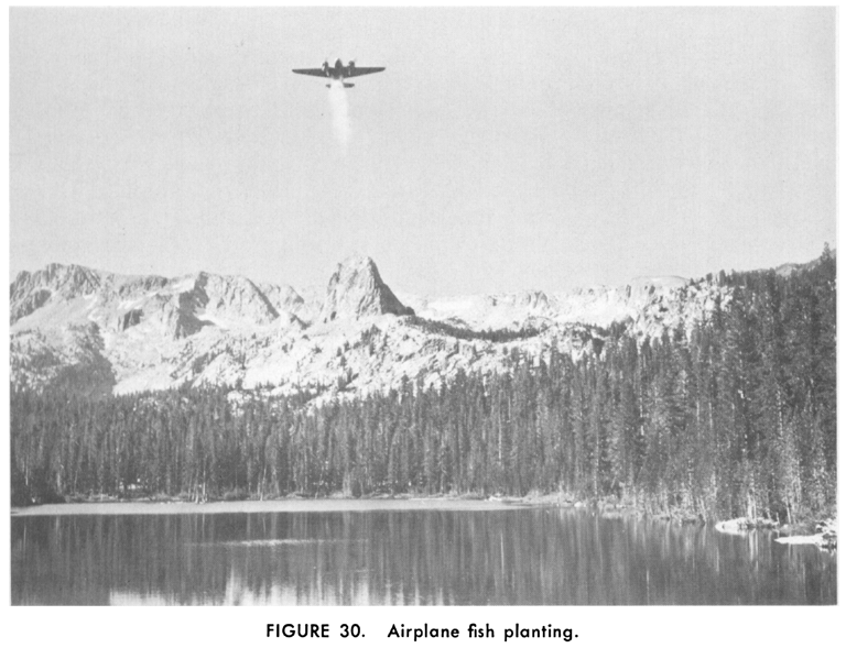 Historic photo of aerial stocking