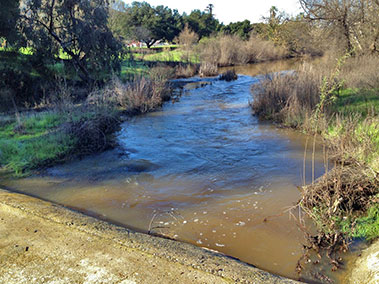 Silvas’ Crossing, Uvas Creek on December 16, 2014