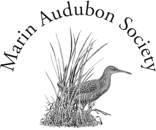 Marin Audubon Society logo - link opens in new window