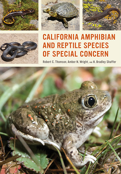Amphibian and Reptile Species of Special Concern book cover