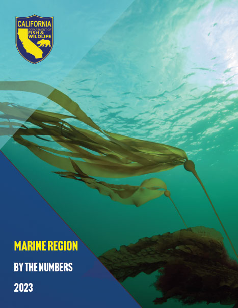 2023 Marine Region By the Numbers cover - click to open report in new tab