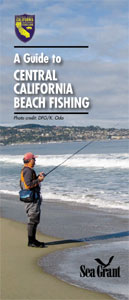 Guide to Central California Beach Fishing - open PDF in new tab