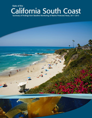 Cover of the South Coast State of the Region Report