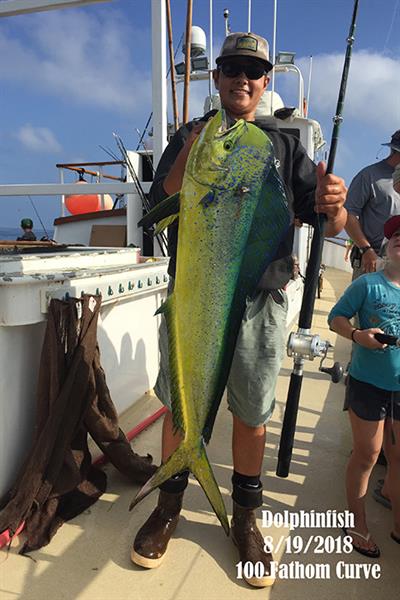 Dolphinfish!