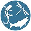 aquatic biodiversity icon