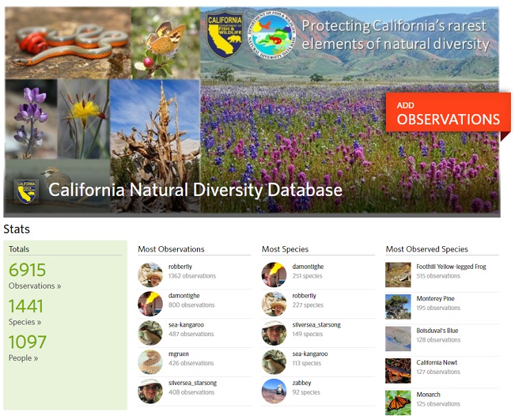screenshot of iNaturalist website interface