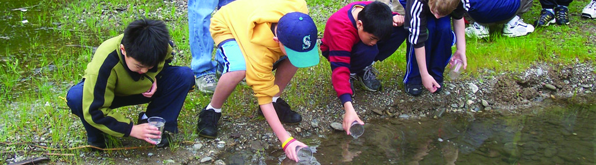 Children releasing fry into a creek