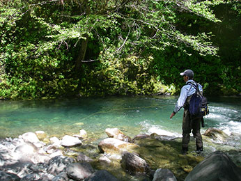 Hurdygurdy Creek
