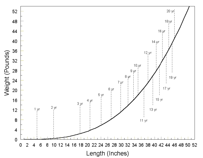 Bass Length To Weight Chart