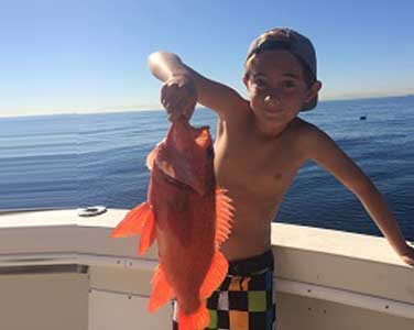 boy holding bright orange fish