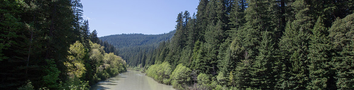 Eel river