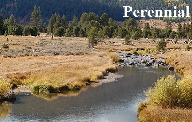 Perennial water way