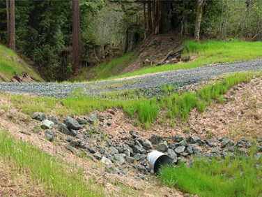 Culvert under a road