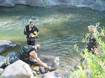 Figure 3.  Biological data collection on a survey.