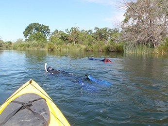 Crews performing snorkel fish counts in Merced River.