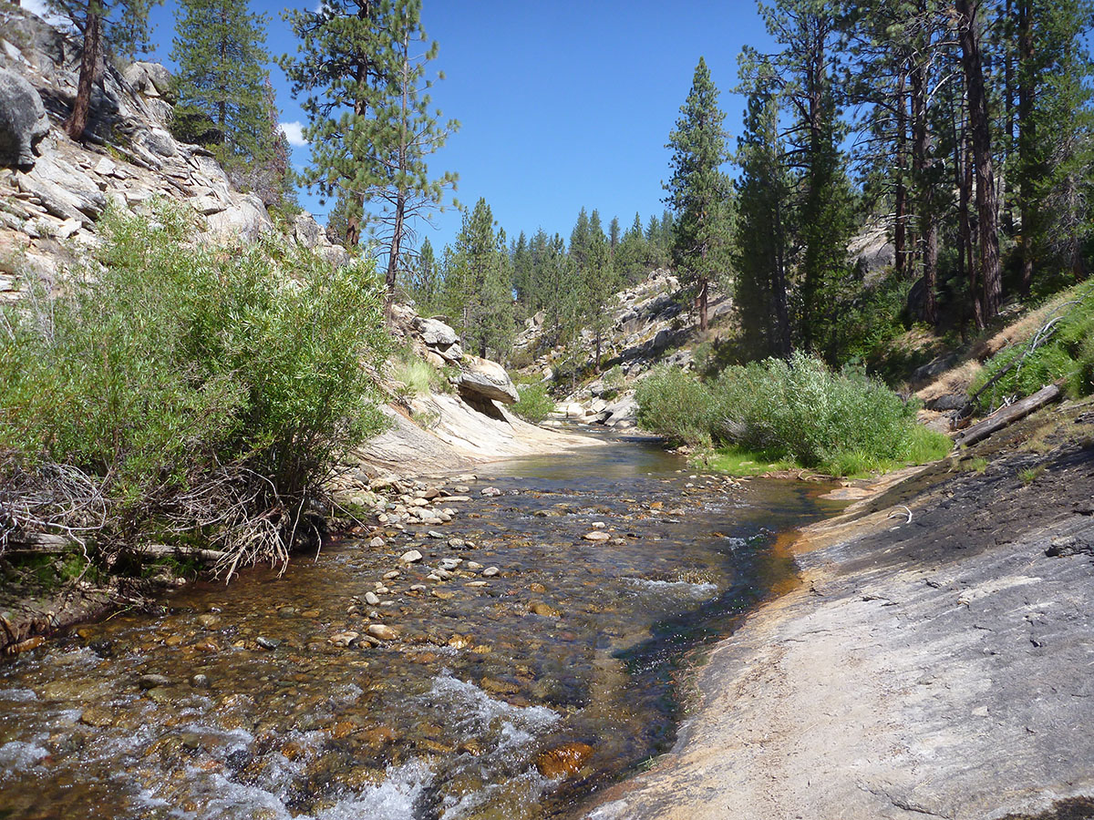 Designated Wild and Heritage Trout Waters