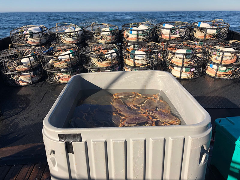 Crab pots lined up on a boat at sea