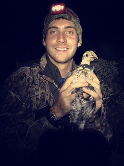 A greater sage grouse captured in Nevada in 2017 carries a radio collar as part of a research project looking at how certain landscape uses such as grazing and energy development impact sage grouse populations.