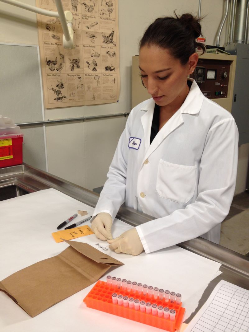 Scientist in white coat testing DNA samples.