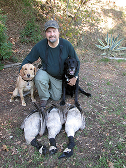 male hunter with two dogs and three dead Canada geese