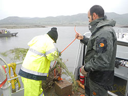 two scientist placing recycled Christmas tress in the lake to provide warmwater fish habitat