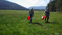 two men carrying buckets in a vast, green mountain meadow