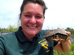 A woman wearing a green California Departmetn of Fish and Wildlife shirt holds a pond turtle