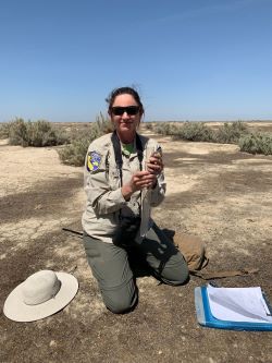Scientist measuring a blunt-nosed leopard lizard at ecological reserve