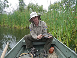 scientist in a boat on the river holding a small green fish with tall grass in the background