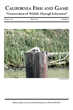 Scientific Journal cover with photo of bird sitting in wooden pole