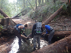 Three people in waders with long black rubber gloves. Man in middle wearing large gray backpack with tubing coming off back. All three are bent over holding long black rods in small streambed with fallen trees surrounding. Background is filled with trees and vegetation.