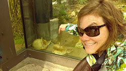 Woman wearing sunglasses pointing to fennec foxes behind glass