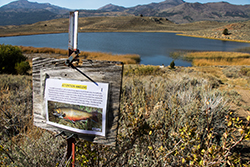 Laminated sign with fish that reads attention anglers attached to old wooden sign on metal post in grassy area with lake and mountains in background