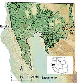map featuring locations of bird surveys throughout Northern California in a region representing more than 40 percent of all California’s coniferous forests.