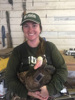 Smiling woman wearing green USGS hat and shirt holding collared goose