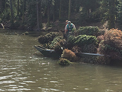 Two men wearing hats and life vests aboard small boat on body of water piled with old christmas trees. Some trees are submerged in water body. Live tree forest in background.