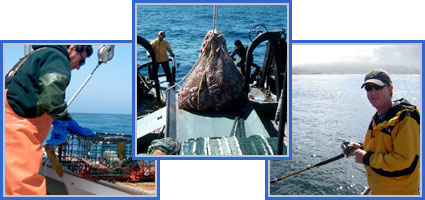 Groundfish Project Groundfish Project