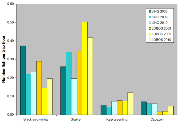 Catch per unit effort (CPUE) for the six of the most abundant species by site