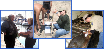 Northern and Central California Finfish Research and Management Project Northern and Central California Finfish Research and Management Project