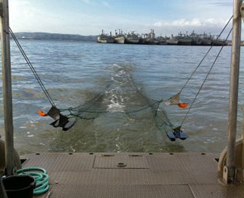 view of trawling net from back of boat
