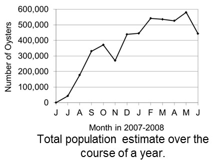 Chart of the total population estimate over the course of a year