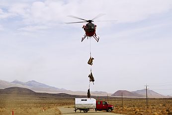 Helicopter ferrying captured bighorn sheep