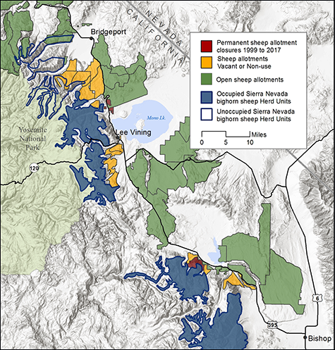 Bighorn Sheep Herds and Domestic Sheep Allotments