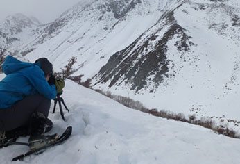 Early spring leaves windblown areas where bighorn can find snow-free forage.